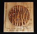 CE 42 - Birchwoods
